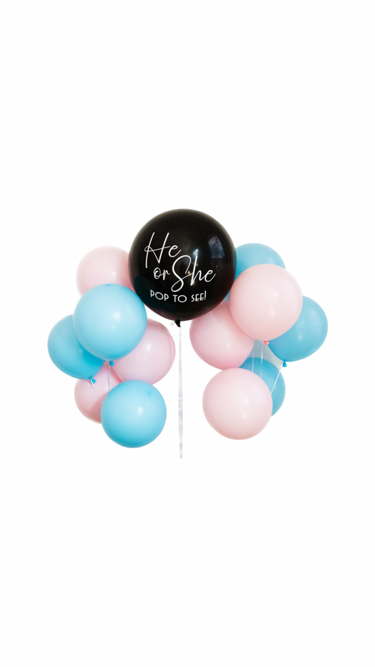 The Most Charming Gender Reveal